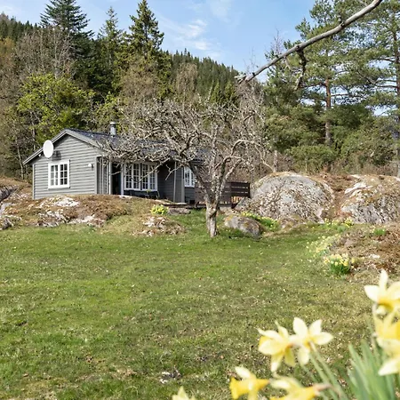 Sandviki - Fjs013 By Interhome Holiday home *